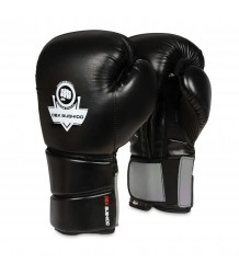 DBX Bushido Boxhandschuhe B 2v9