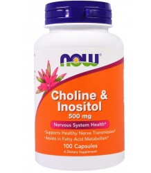 Now Foods Cholin und Inositol 500 Mg 100 Kapseln