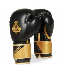 DBX Bushido Sparring Boxhandschuhe B 2v10