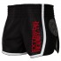 Extreme Hobby Muay Thai Shorts Schwarz Rüstung