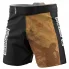 Extreme Hobby Athletic Golden Warrior MMA Shorts