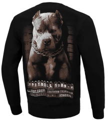 Pit Bull Sweatshirt mit Kapuze Mugshot Rundhalsausschnitt Schwarz