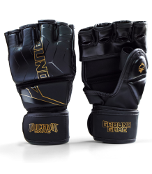 Ground Game MMA Handschuhe Equinox