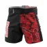 Extreme Hobby Athletic Red Warrior Schwarz/Rot MMA Shorts