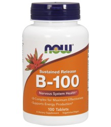 Now Foods Vitamin B-100 Nachhaltige Freisetzung Vitamin B 100 Tabletten